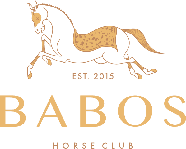 BABOS Horse Club Логотип BABOS Horse Club — клиент IT-компании YASA