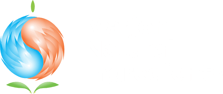 Marjon Логотип Marjon — клиент IT-компании YASA